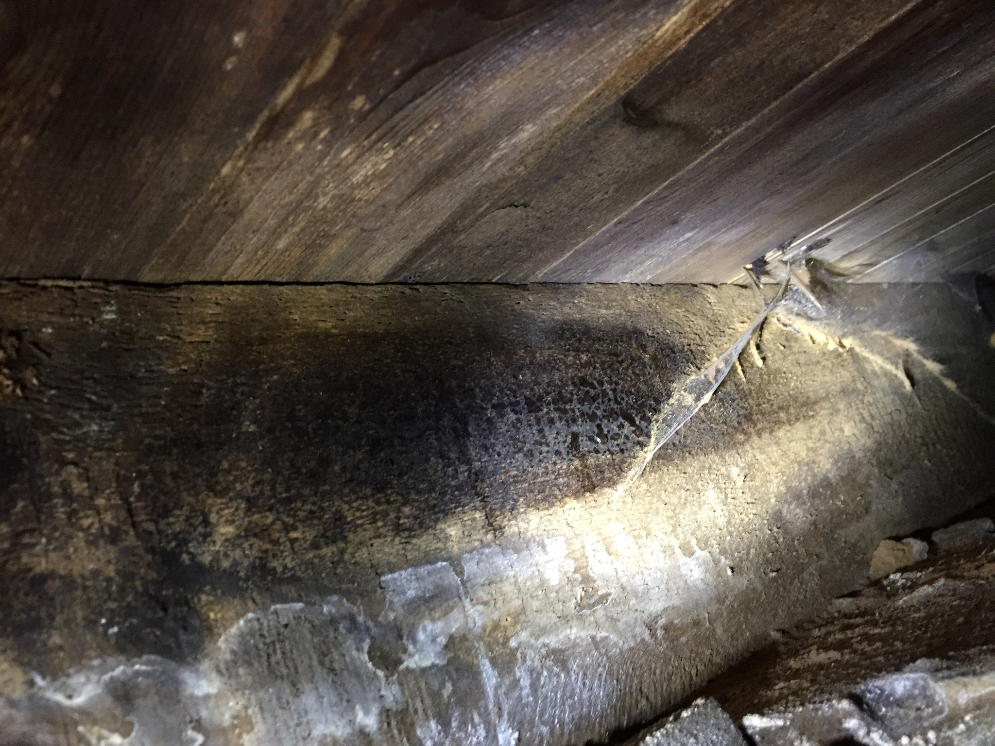 Wet Rot Treatment In Ellon McKnight Building Preservation